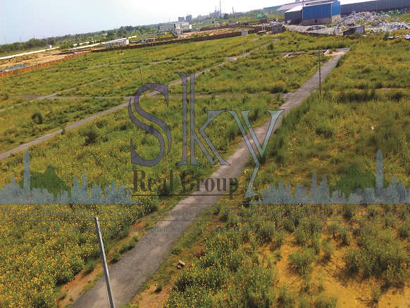 plots on nh8